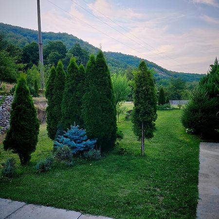 Taverna Gradetului Schitu Topolnitei Экстерьер фото