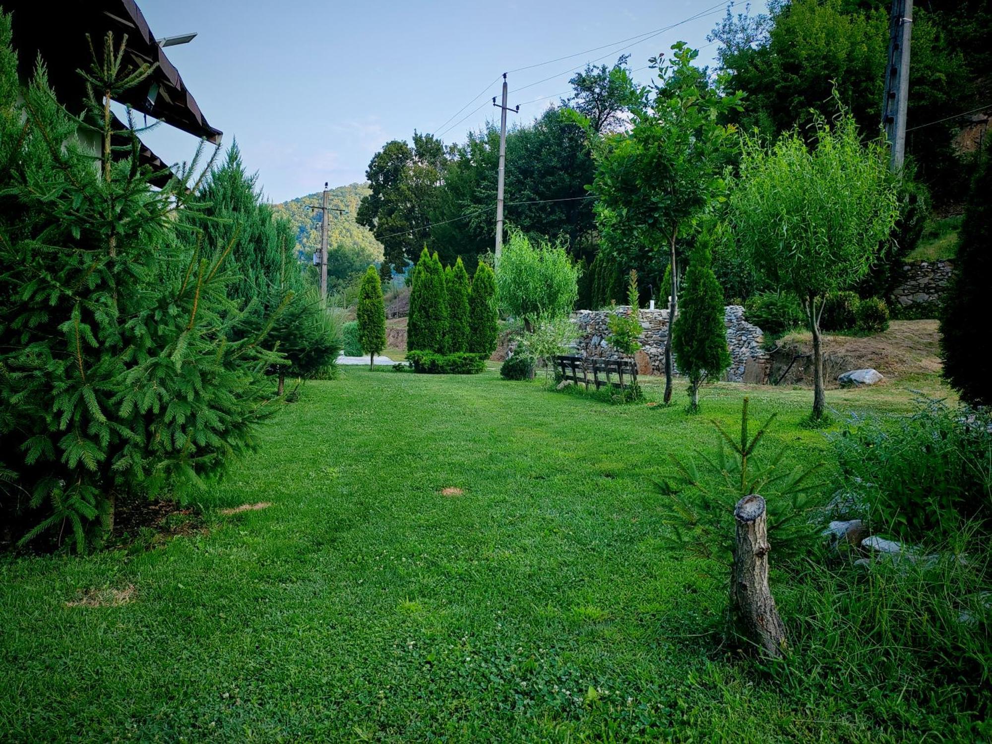 Taverna Gradetului Schitu Topolnitei Экстерьер фото